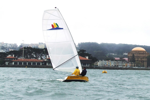 Wyliecat17b.jpg