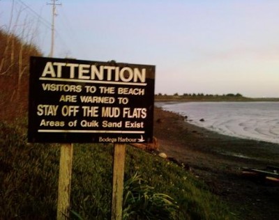 quicksand.jpg