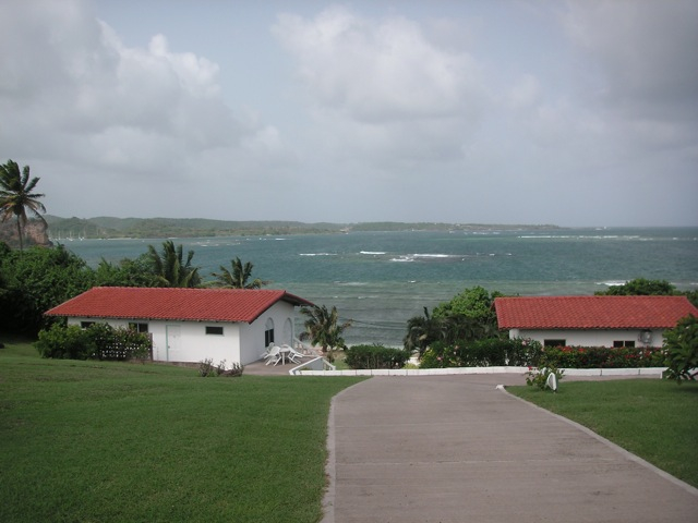 PICT0099.jpg