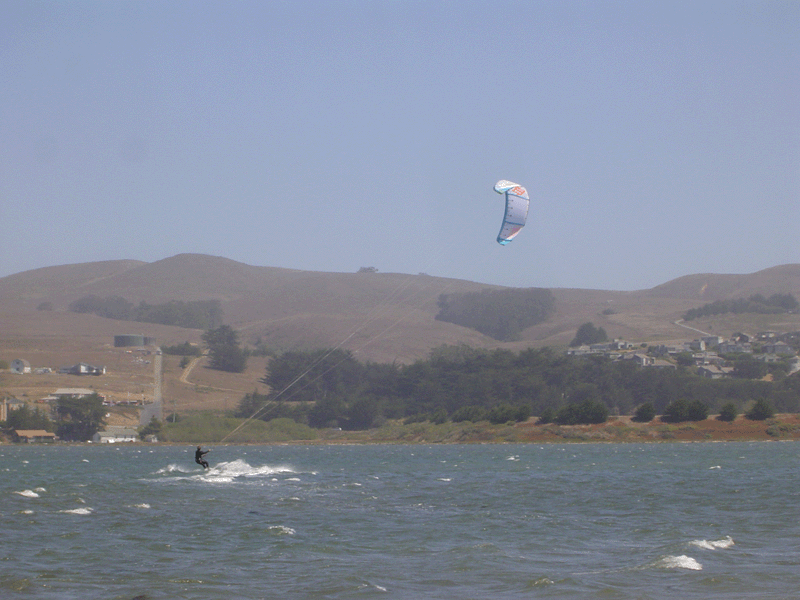 doran2.gif
