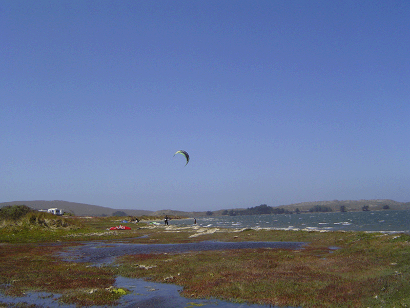 doran1.gif